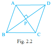 Page 22 Chapter 2 Class 6th NCERT Exemplar